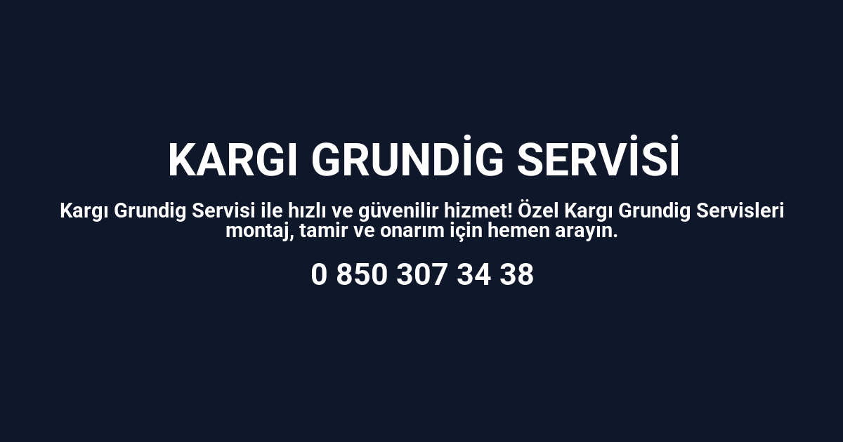 Kargı Grundig Servisi